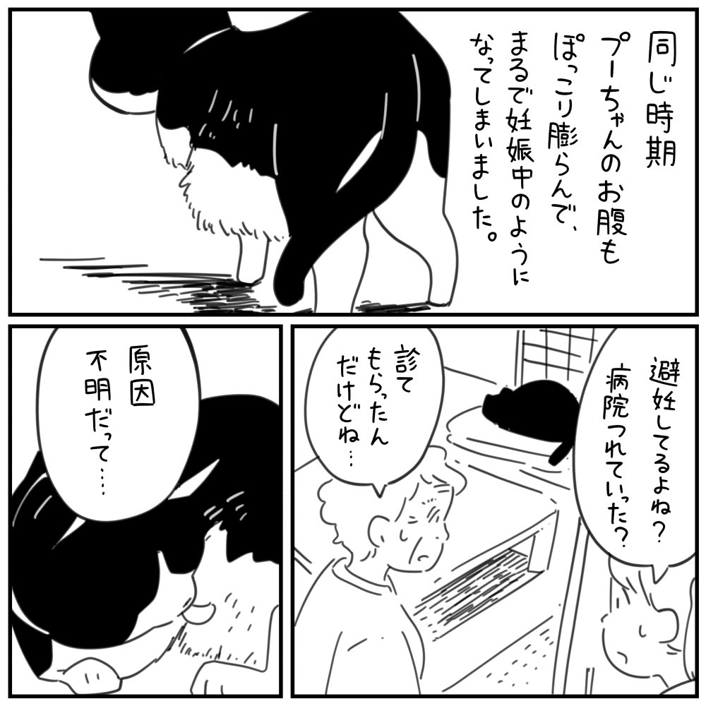 「猫のプーちゃん」2/3 