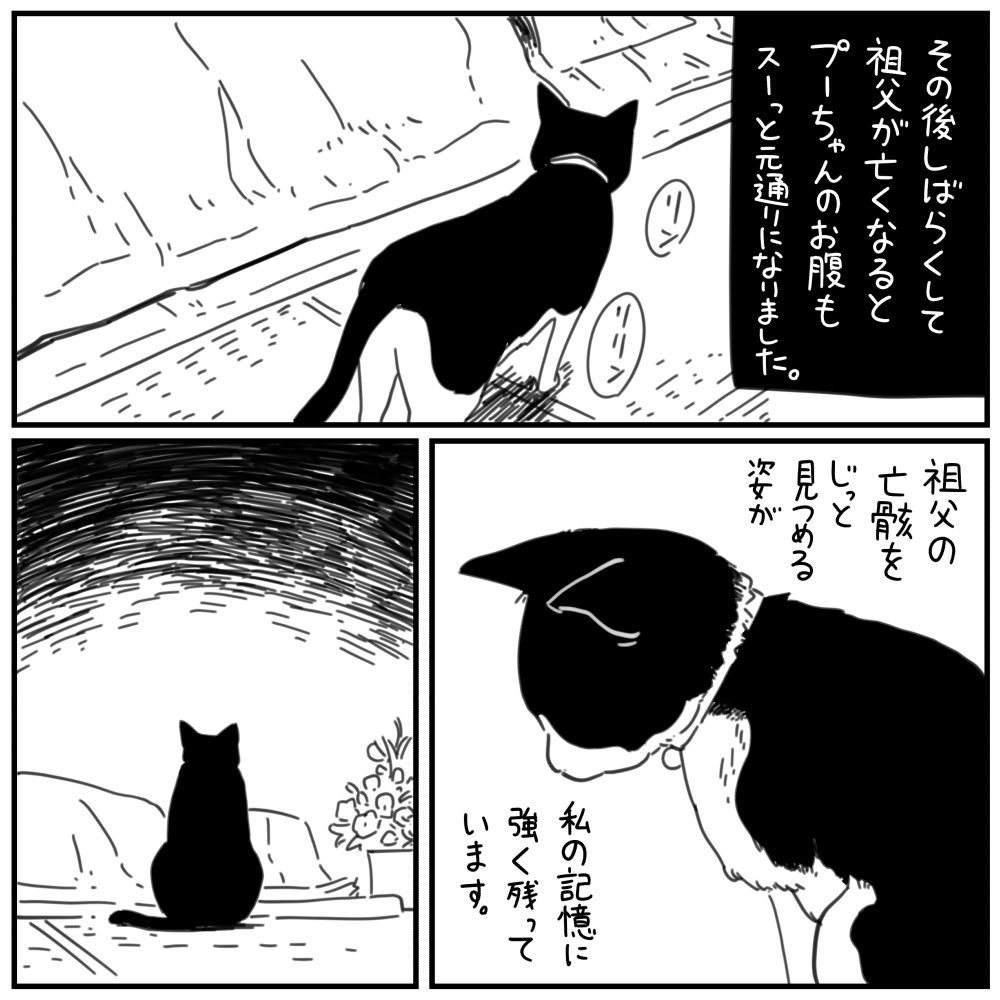 「猫のプーちゃん」2/3 