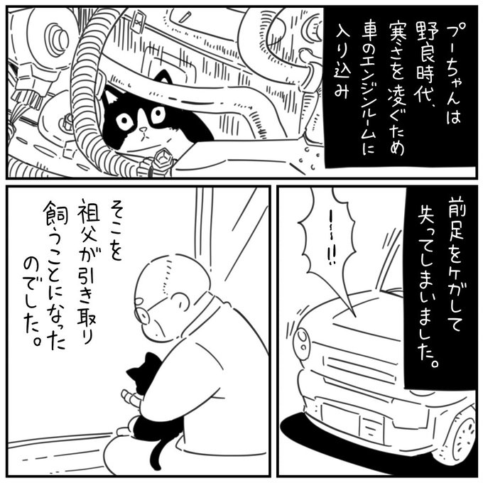 小粒あずきさん の最近のツイート 24 Whotwi グラフィカルtwitter分析