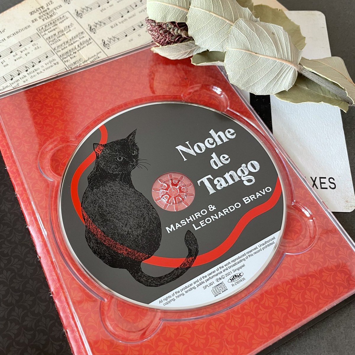 tango_concert's tweet photo. CD &amp;BOOK『Noche de Tango』が、ついに工場からやってきました！
すごく素敵に仕上がっています😍

こちらで予約&amp;視聴できます。
https://t.co/6zdvCwWsL7 https://t.co/Ug4TZEyE6W