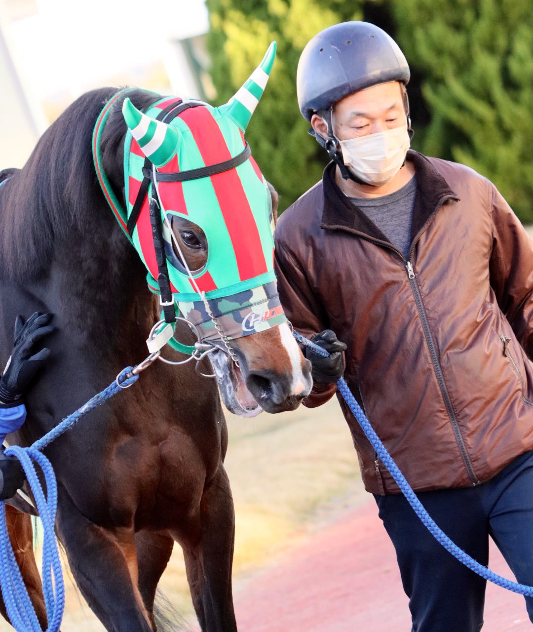 Maki ジンフィーズ パドック入場 ゼッケン 返し馬の写真 とまれーの時の写真 ジンフィーズ T Co Hfwhy74ers Twitter
