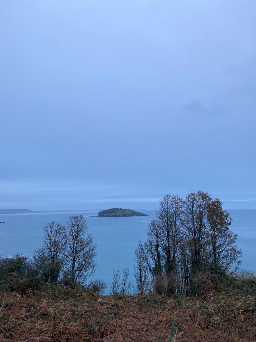 HedgeComber's tweet photo. A very early morning walk on the Cornish coast path. Ansum.

#lovecornwall #cornishcoastpath #lovelooe https://t.co/5ikc2TRpYI