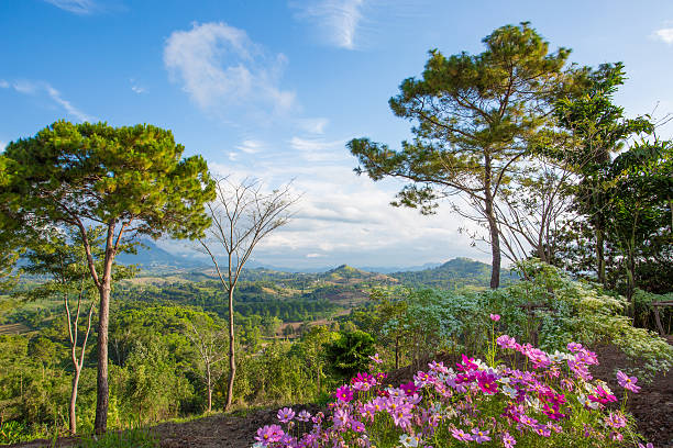 photo by archmercigod
all is well 🍃🌸