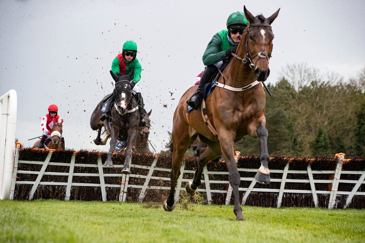 HRIRacing's tweet photo. #TodaysTips - https://t.co/rn3bVyV30G

🏇@Fairyhouse 
 
⏰First Race 11.30am

Loads to like about today's card at #Fairyhouse.

Our preview is here ↙️

https://t.co/rn3bVyV30G #BlueLord https://t.co/n4uWHsA8UP