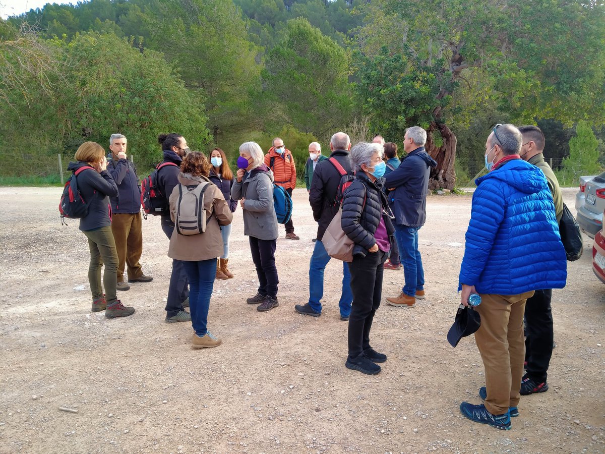 ingdemontes's tweet photo. #DIM21 Iniciamos la visita a la finca pública Galatzó en Calviá ... @ColEngForestals https://t.co/A9M0cbySSf