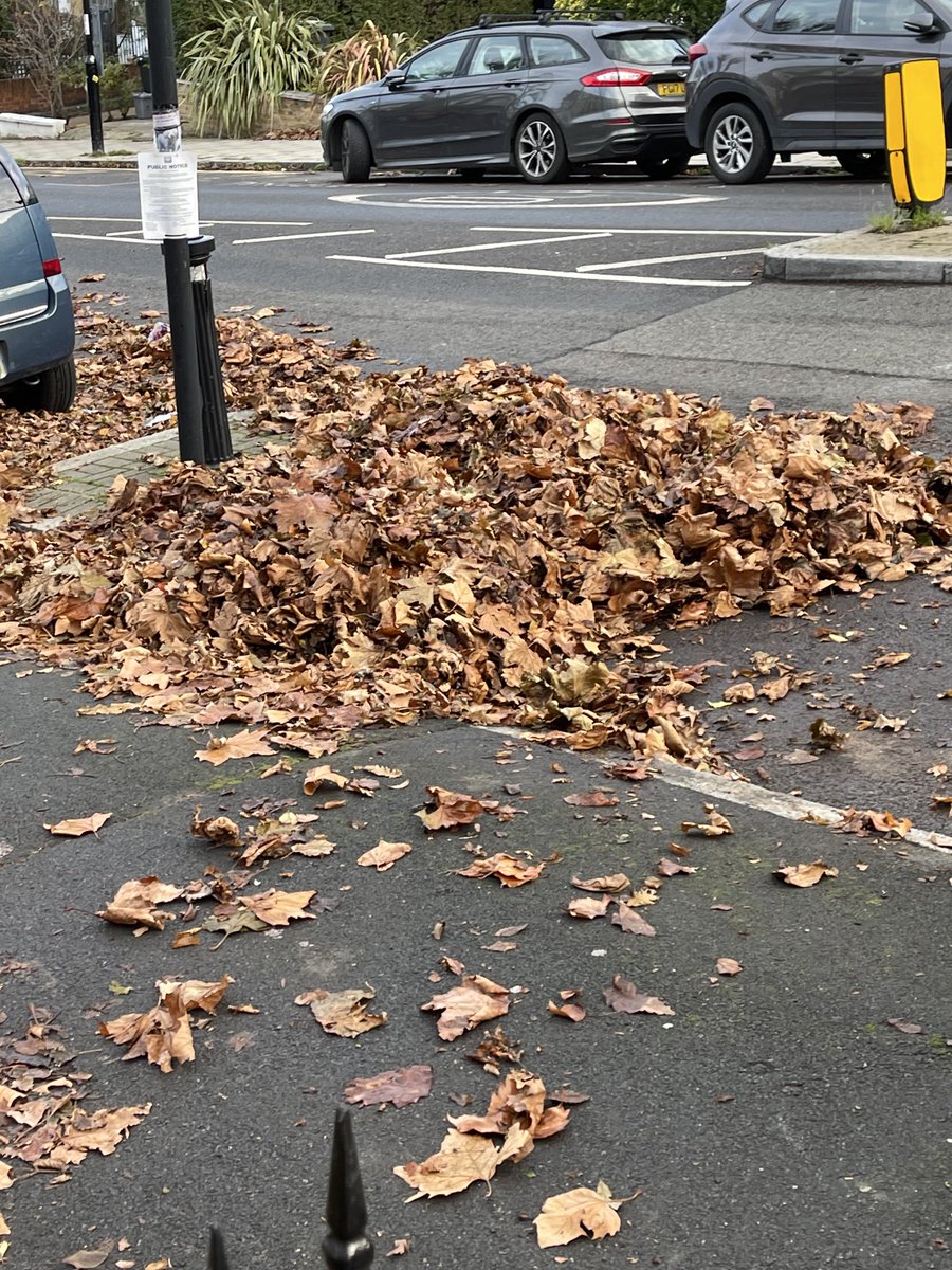 HillyViews's tweet photo. ⁦⁦@LewishamCouncil⁩  you highways team forgotten Pepys road - rotting wet leaves from your trees cause a health and safety issue. 😤 https://t.co/KF0ZEpq0yt