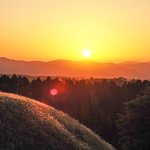 ツイートに含まれる画像