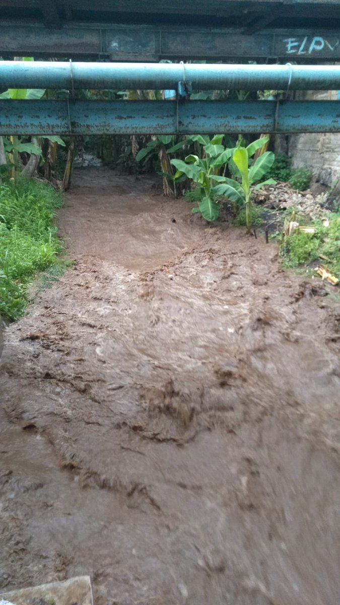 Korsda_Bwi's tweet photo. Banjir kiriman dari Dam Tugu sudah sampai jembatan hitam Klatak atau Bulusan, semoga segera surut. Cc @PengairanBwi @p50_guntur https://t.co/RwSJHxGA3Y