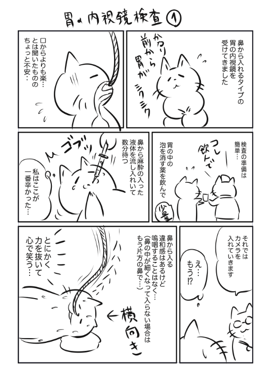 今日は胃腸の日とのことで、以前描いた鼻からの胃の内視鏡検査の漫画を。(2p) 受けようか悩んでる場合の参考になれば…! 