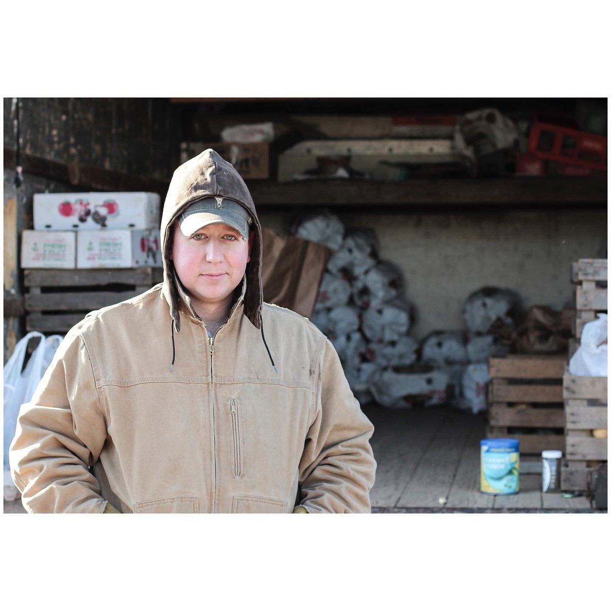 chris stein tweet media