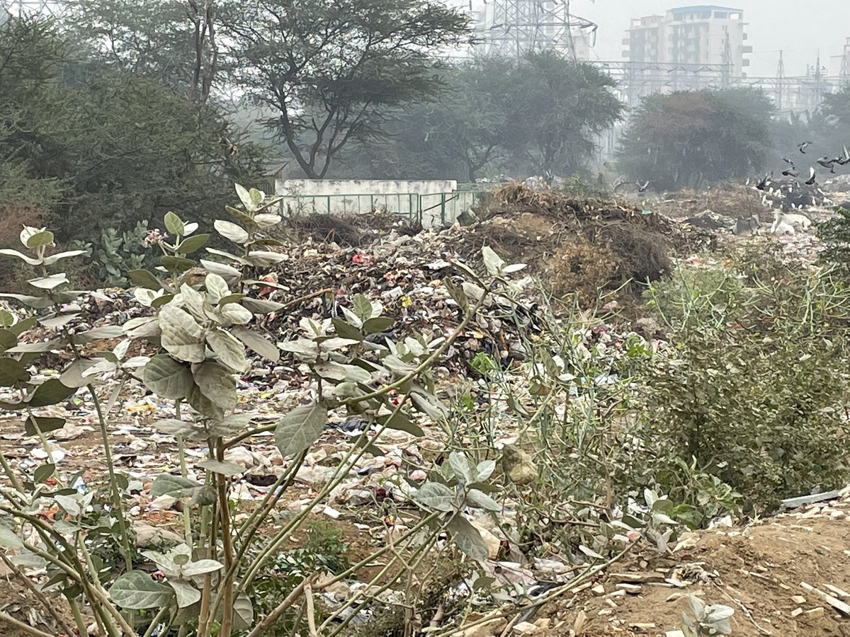 AnkitSGoel's tweet photo. @MCManesar What about this, where you have converted green belt into unauthorised garbage dumping ground. Outside sector 1 on NH8, behind Sidco Shivalik. https://t.co/msW6QxGVsW