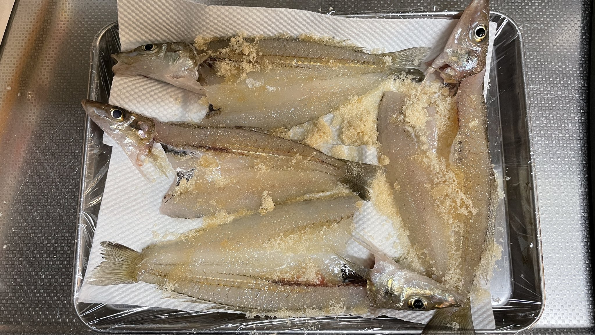 ｍｉｎ 今日はなかなかのサイズのキスが釣れたので 試しに一夜干しを作ってみようかと まずは砂糖でしめて そのあと塩で味付けする T Co Pw48xoaiyv Twitter