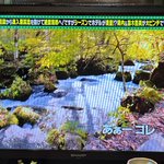 まきまきVillageのツイート画像