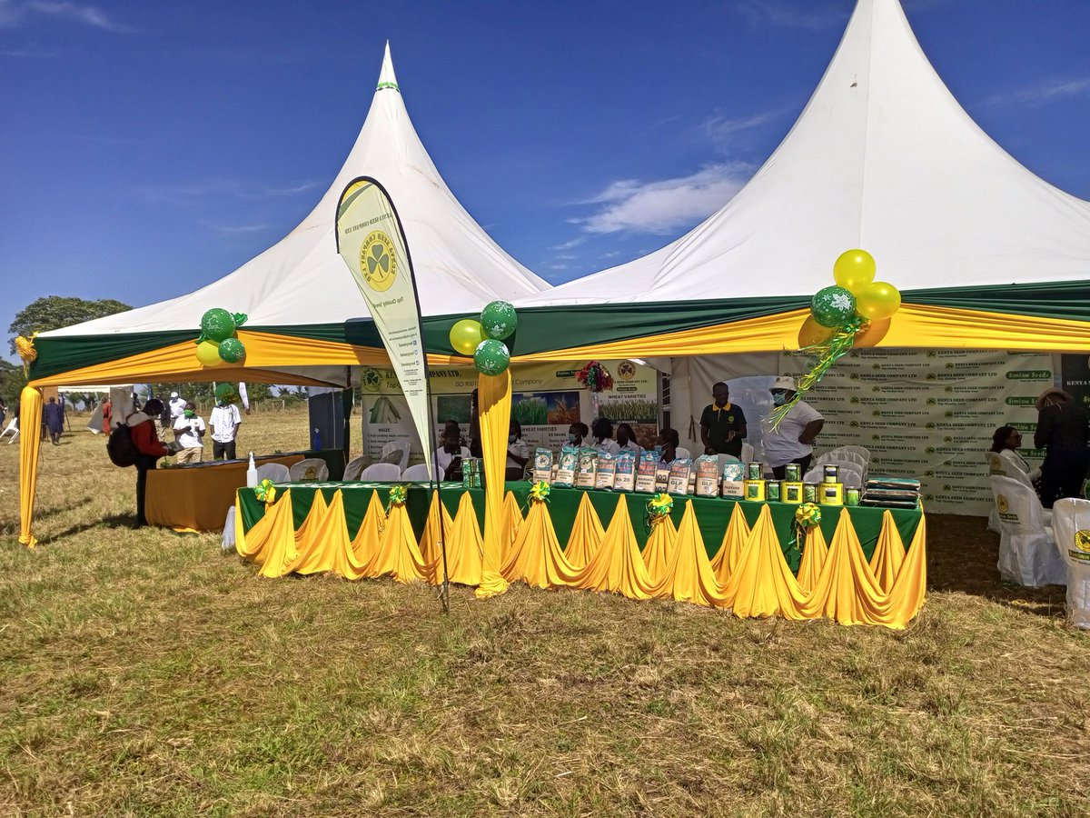 Kenya Seed Company Ltd tweet media