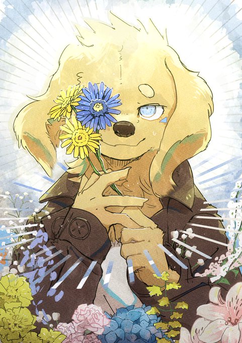 花々しいイヌ。 