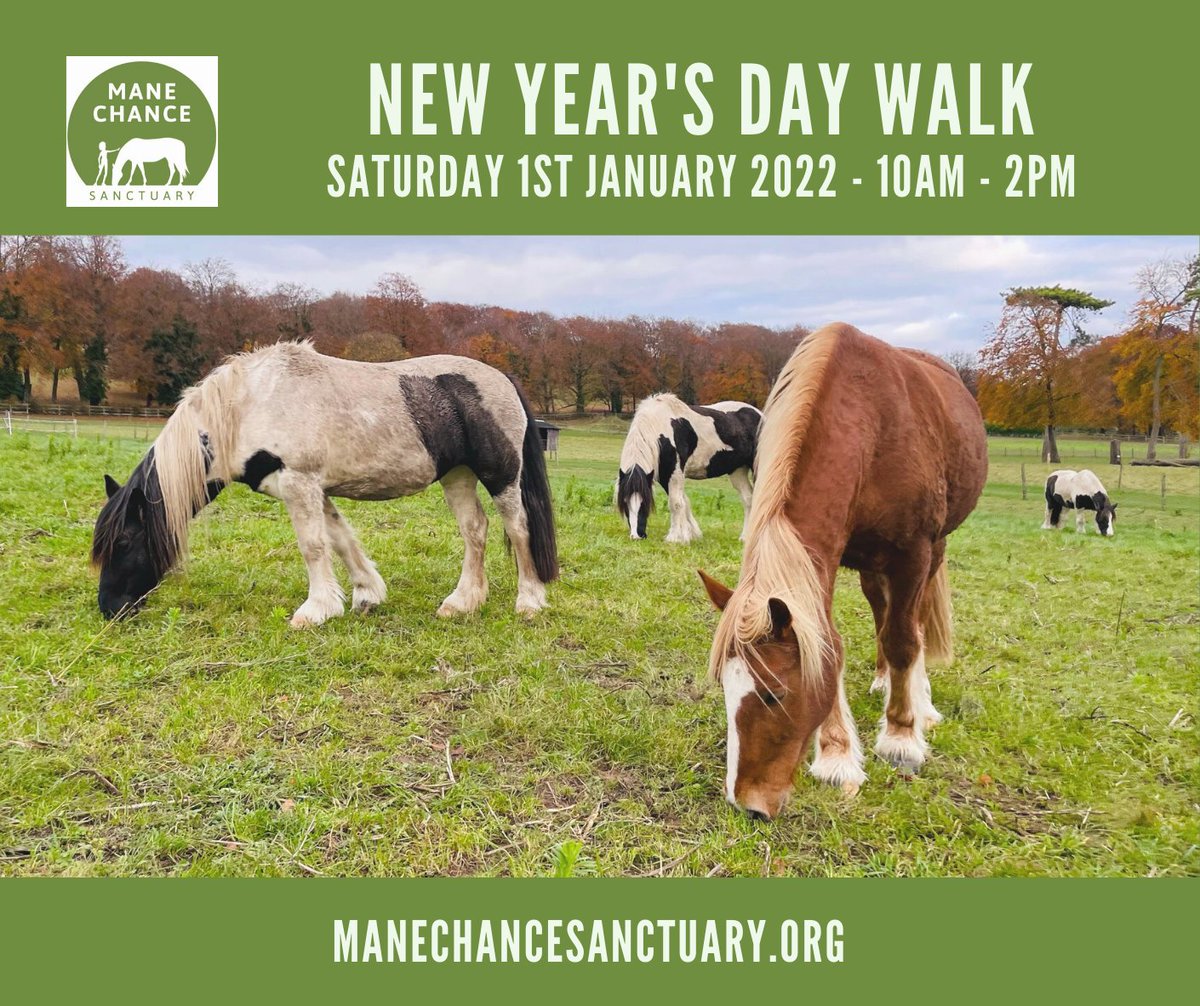 manechance's tweet image. Join us for our New Year's Day Walk! 
Enjoy a stroll around the tracks and fields of the Sanctuary, meeting our rescued horses along the way. 
Tickets bought in advance - adults £2 &amp;amp; children &amp;amp; seniors £1 
Children under 5 (and dogs on leads!) come FREE! 
manechancesanctuary.org/New_Year_Walk.…