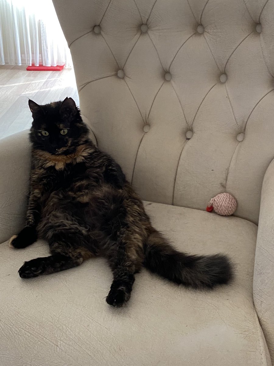 Olmamış Badem tweet media