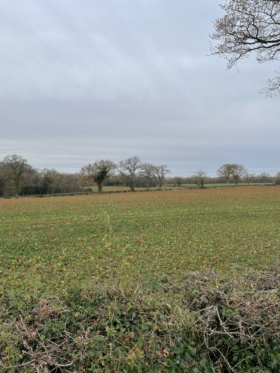 rwilliamsruns's tweet photo. Another 10 miles this morning. Went for a #greenrunning and #bluerunning to soothe the soul @UKRunChat https://t.co/SCVeVPchA6