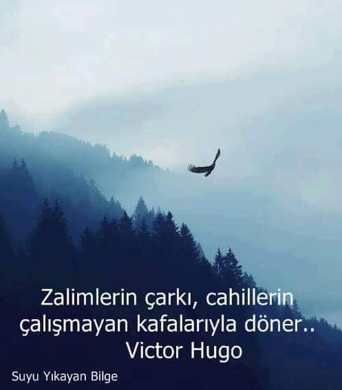 ddacar1's tweet photo. https://t.co/yhLkui3eGE