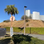 ツイートに含まれる画像