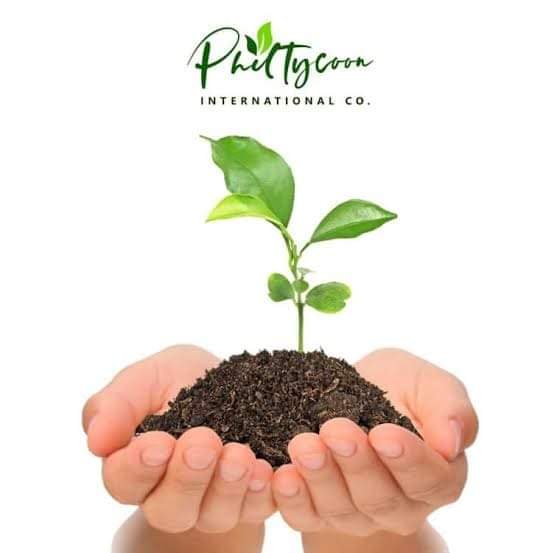 Join our business to reach your goal .❤
#Philtycoon💗