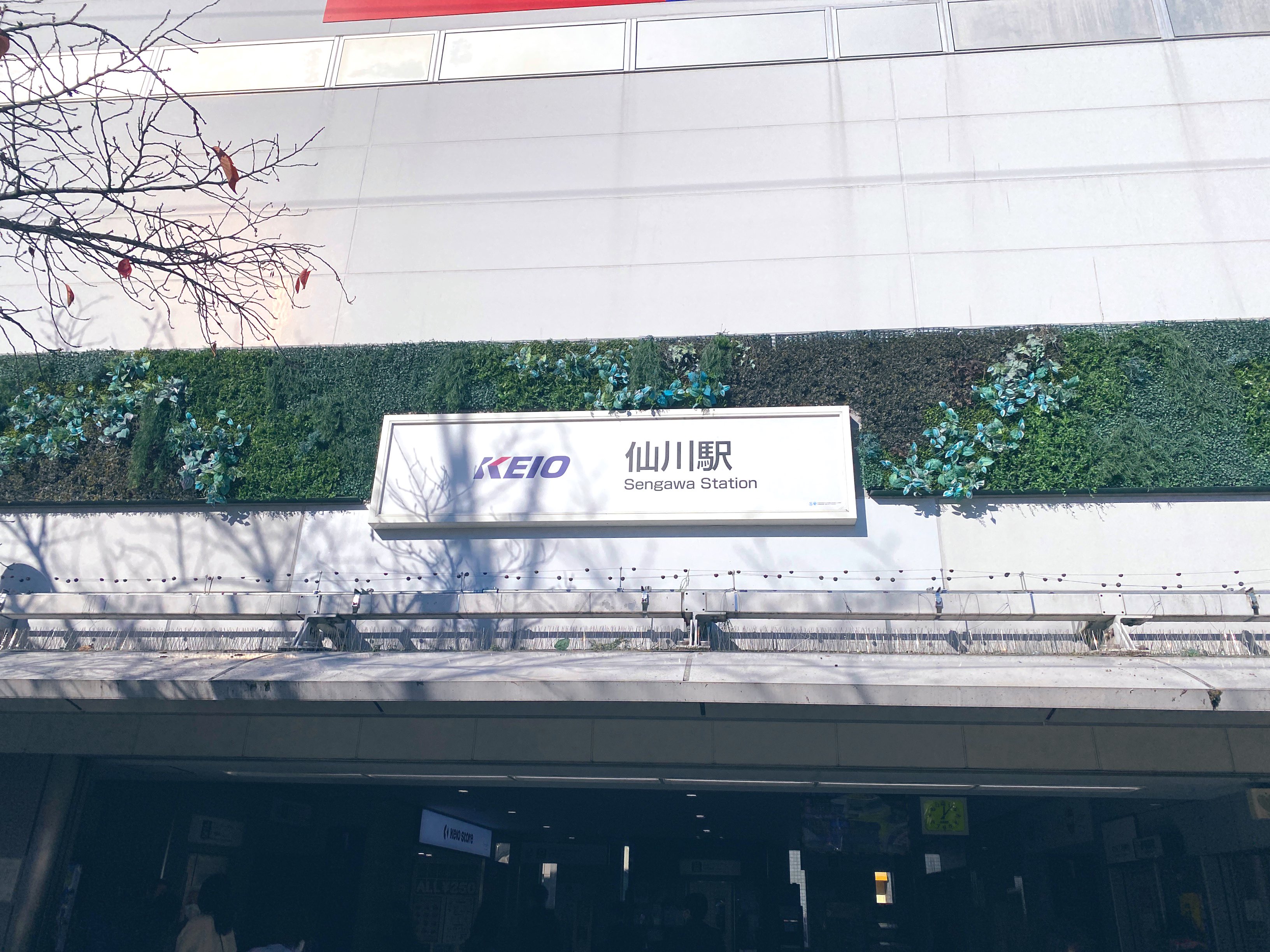 わん 仙川 街全体がキレイだし 雰囲気落ち着いてるし ファミリー層多くて治安いいし 土日人多いのに嫌な感じまったくないし 家賃とか物価安いし 商店街とかになんでもあるし 西友と二郎あるし 安くておっきい温泉あるし 新宿まで一本で下北もすぐ