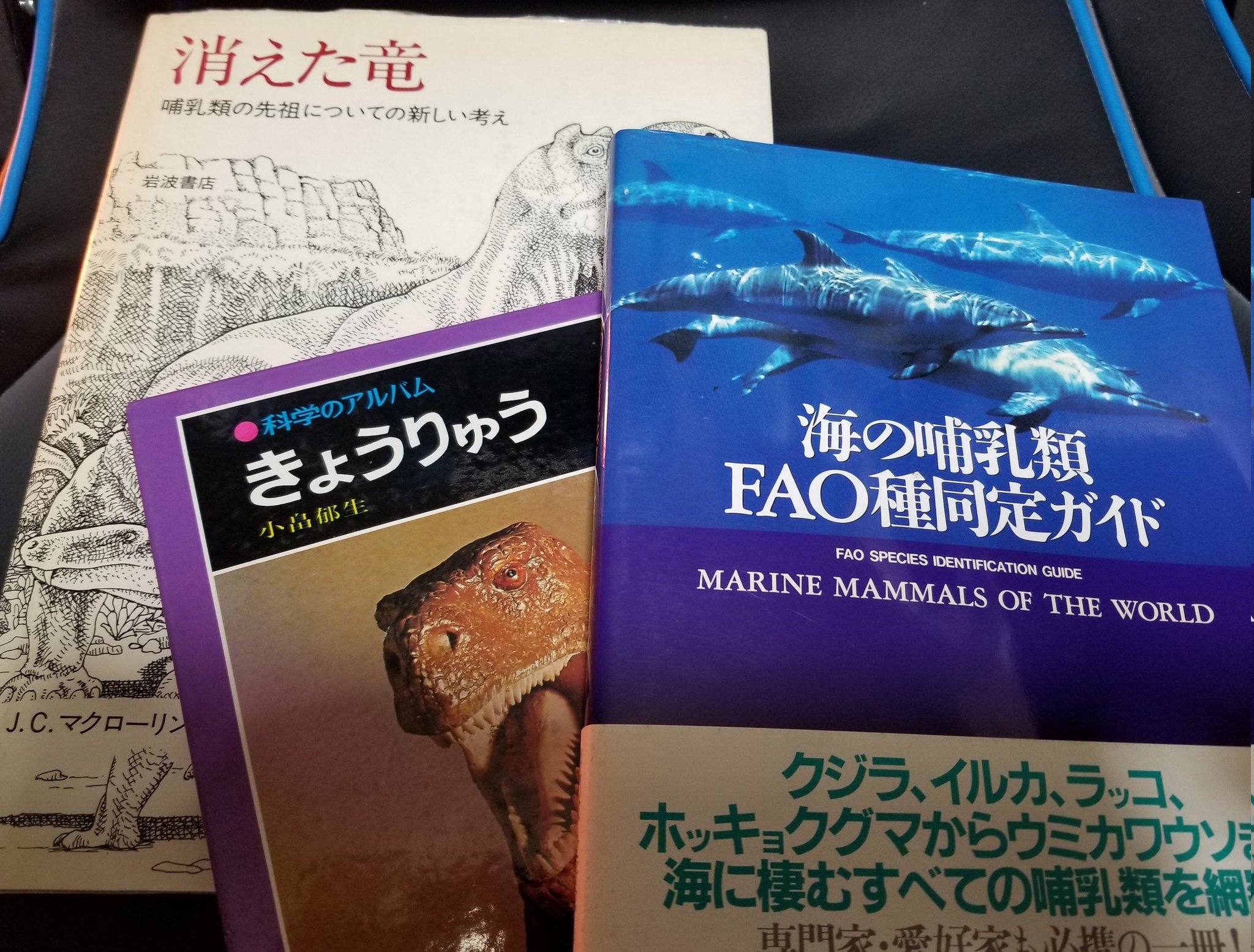始祖鳥堂まふ M A F 今回のミネラルショー シャロヴィプテリクスのレプやら金生山のウミユリやらマクローリンやら例の軽石やらものすごいものをやたら手に入れてしまってるんだが大丈夫か 罰が当たらないか T Co Wetyceckg8 Twitter