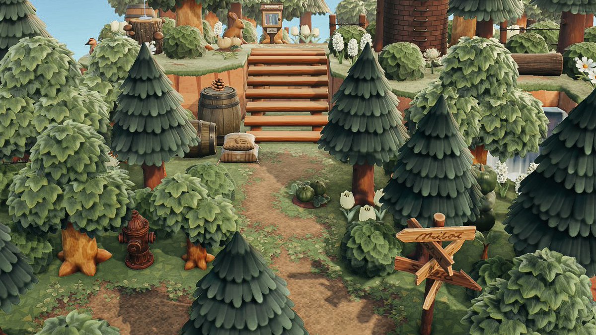 rachplayssttv's tweet photo. Up to the lookout.. https://t.co/11FU36uREi