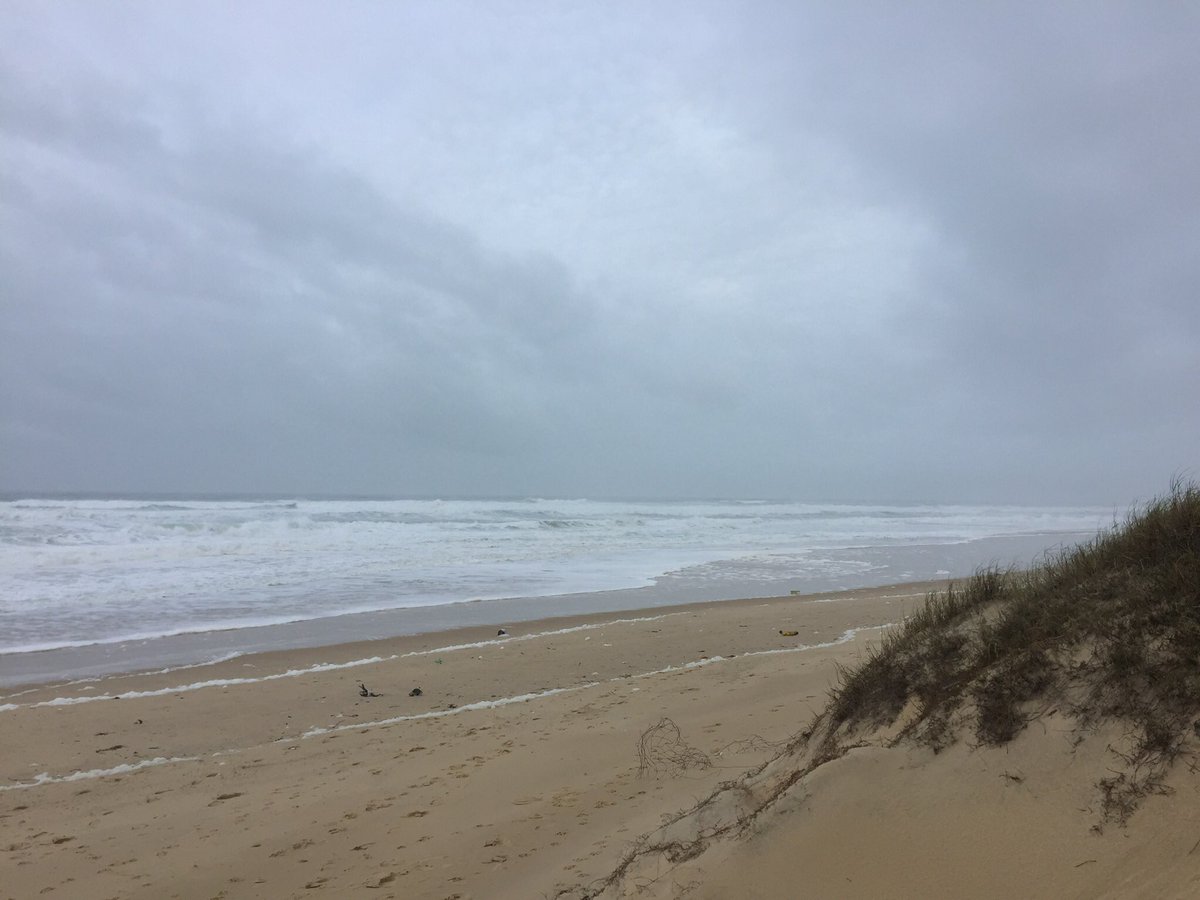BelleMalia's tweet photo. 🌧🌧 Quelqu’un a finalement fermé les robinets 🌧🌧Pas de pluie mais un temps bien maussade 🌧🌧 comme ma motivation 😒😒 allez , aujourd’hui je #procrastine à #MimizanPlage 🦑🦑 Bon Week-end à tuttis 😘😘 https://t.co/zAZTCeXMiO