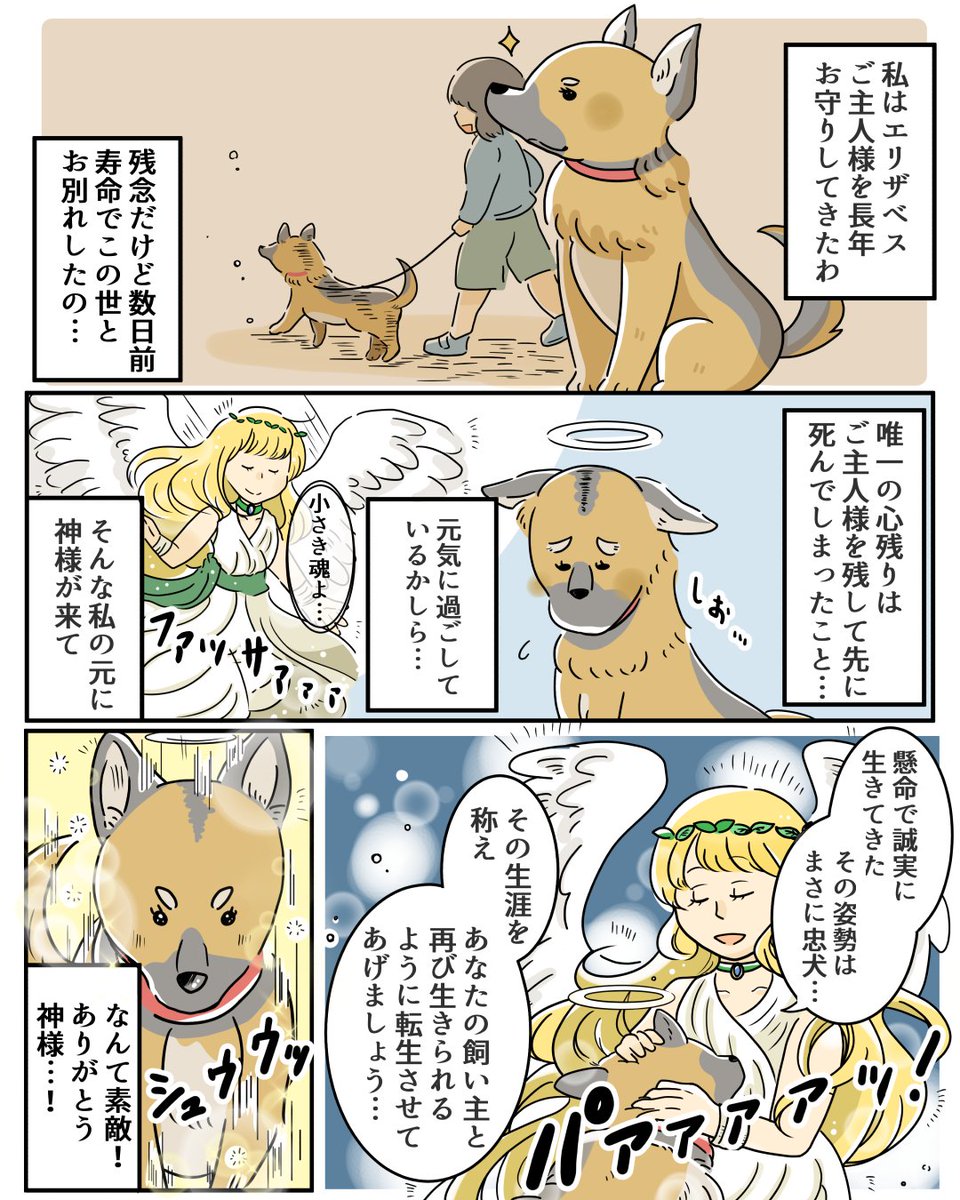 フタバ イラストレーター 漫画家 創作 元忠犬は転生してもご主人様を お守りしたい話 大切なマミー 元ご主人様 を守るため 日々奮闘中 コルクラボマンガ専科 漫画が読めるハッシュタグ イラスト好きな人と繋がりたい 絵描きさんと