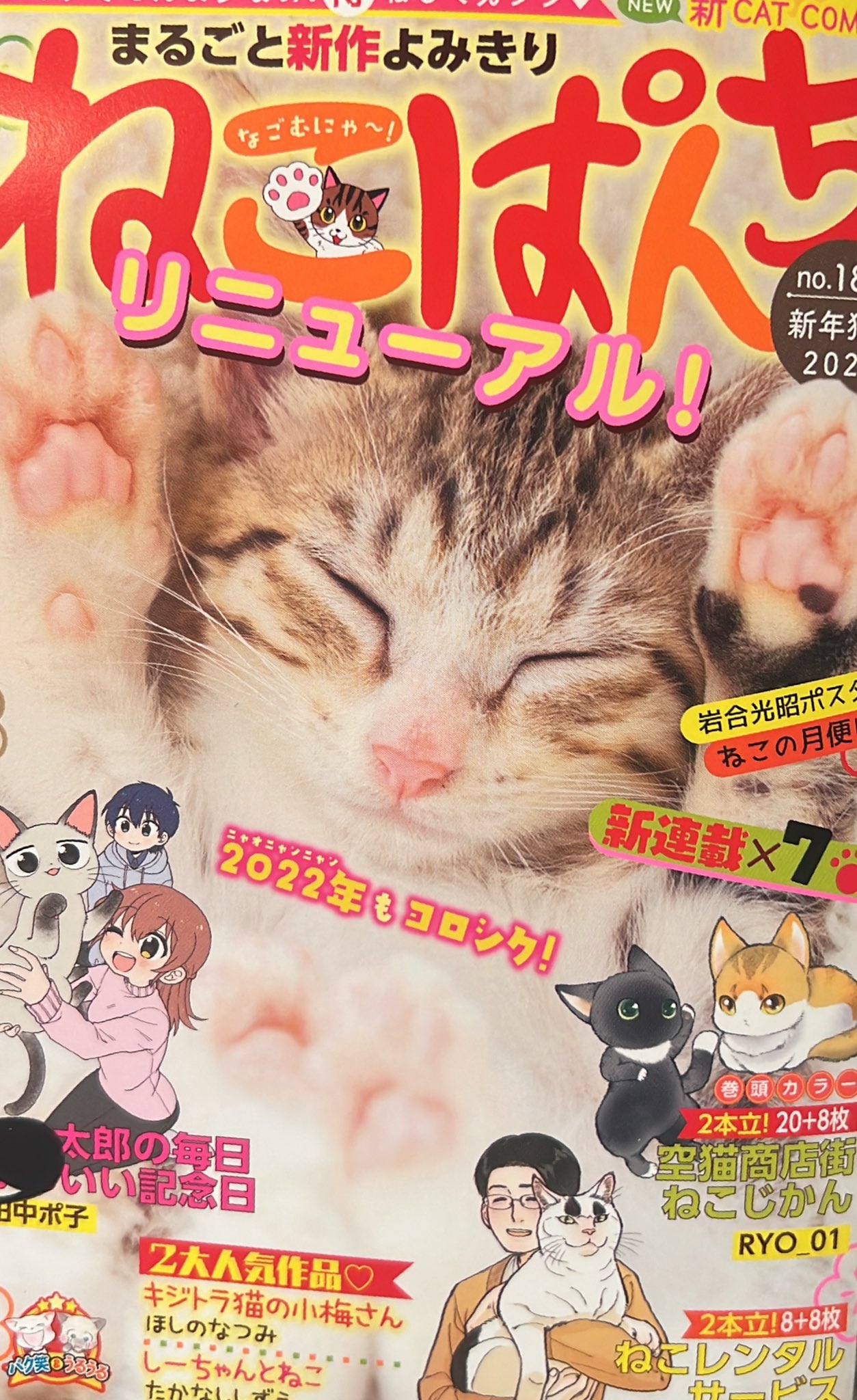 ハンドメイ】 さち猫様専用 10点 jsYVz-m54353266809 ブルー