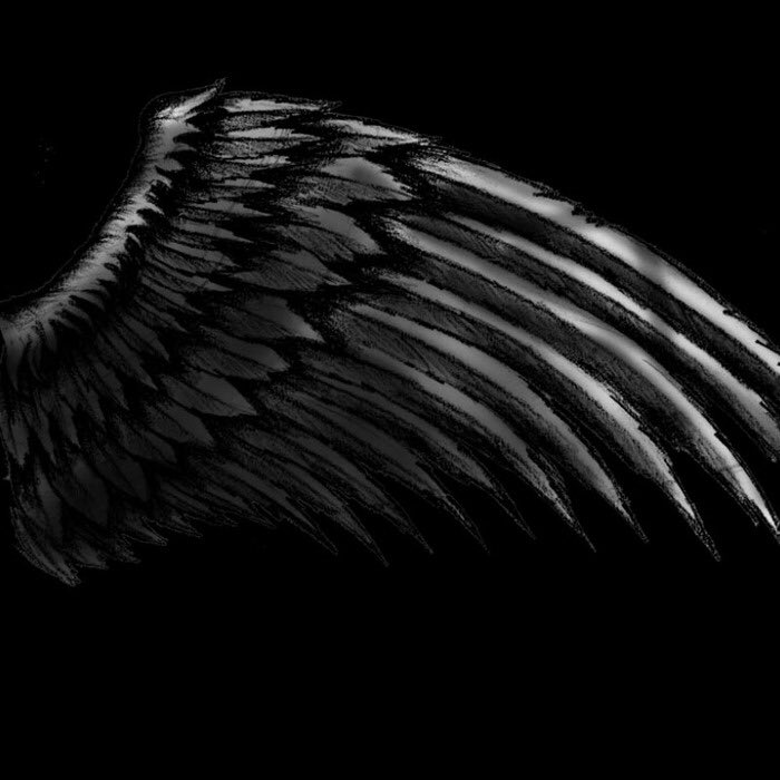 Крылья на черном фоне. Черные Крылья. Крылья демона. Черные ангельские Крылья.