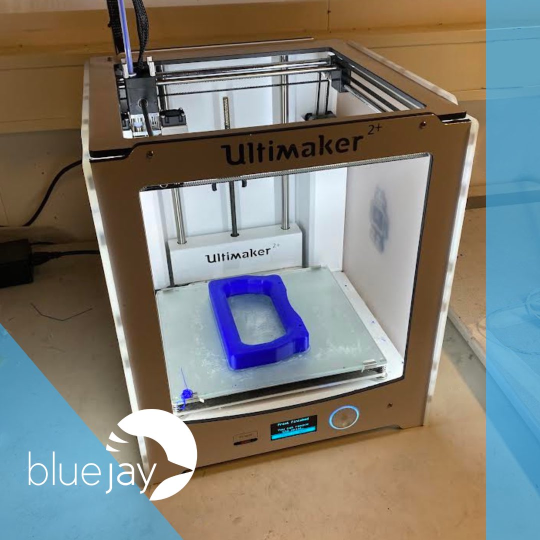 Blue Jay Eindhoven tweet media