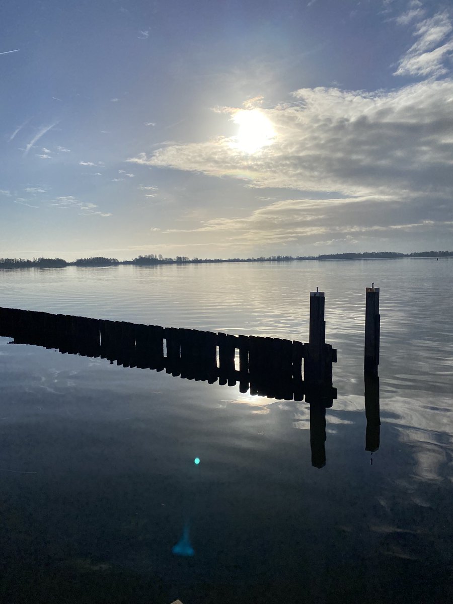 Prachtig weer 😍! #wandelen #nieuwkoop 🐕