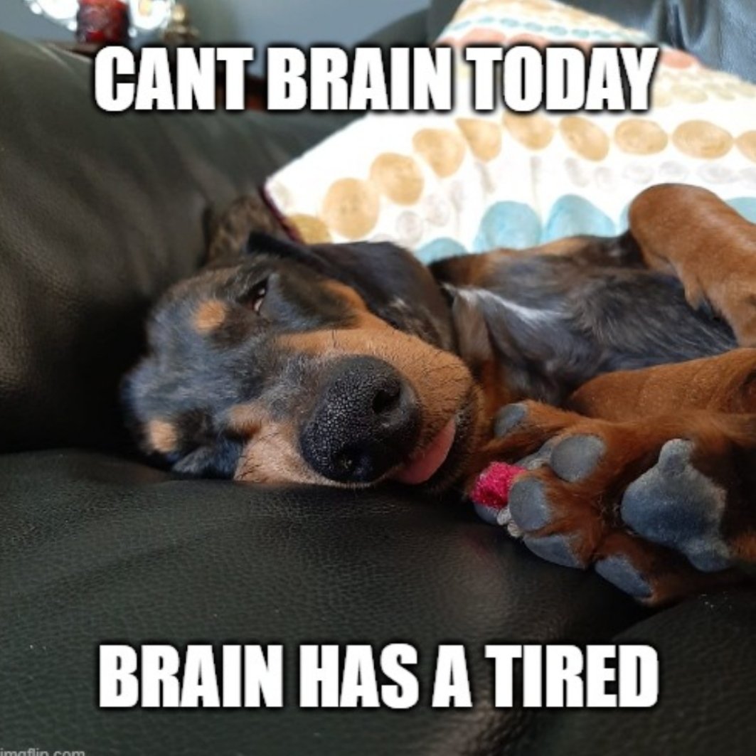 Dachshund Dog Memes That Slay 💅, image size:1063x1063