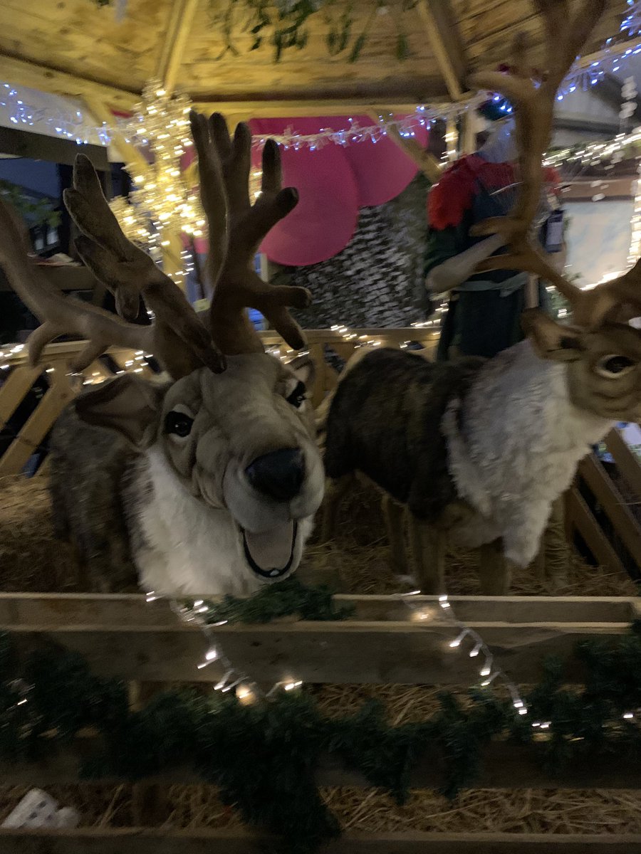HolidayinBrecon's tweet photo. Our visit to @ORLGardenCentre #ORLSleigh a tradition every year #Breconbeacons #HolidayinBrecon https://t.co/k67lWz9HKT