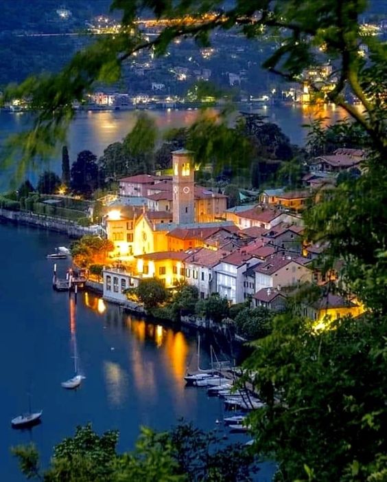 🌺🌼🌿🌼 Ǥ𝓻𝐚ｚɨａ 🌼🌿🌼🌺 tweet media