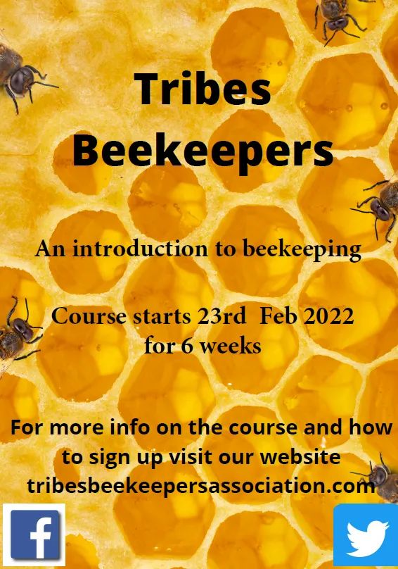 Tribes Beekeepers tweet media