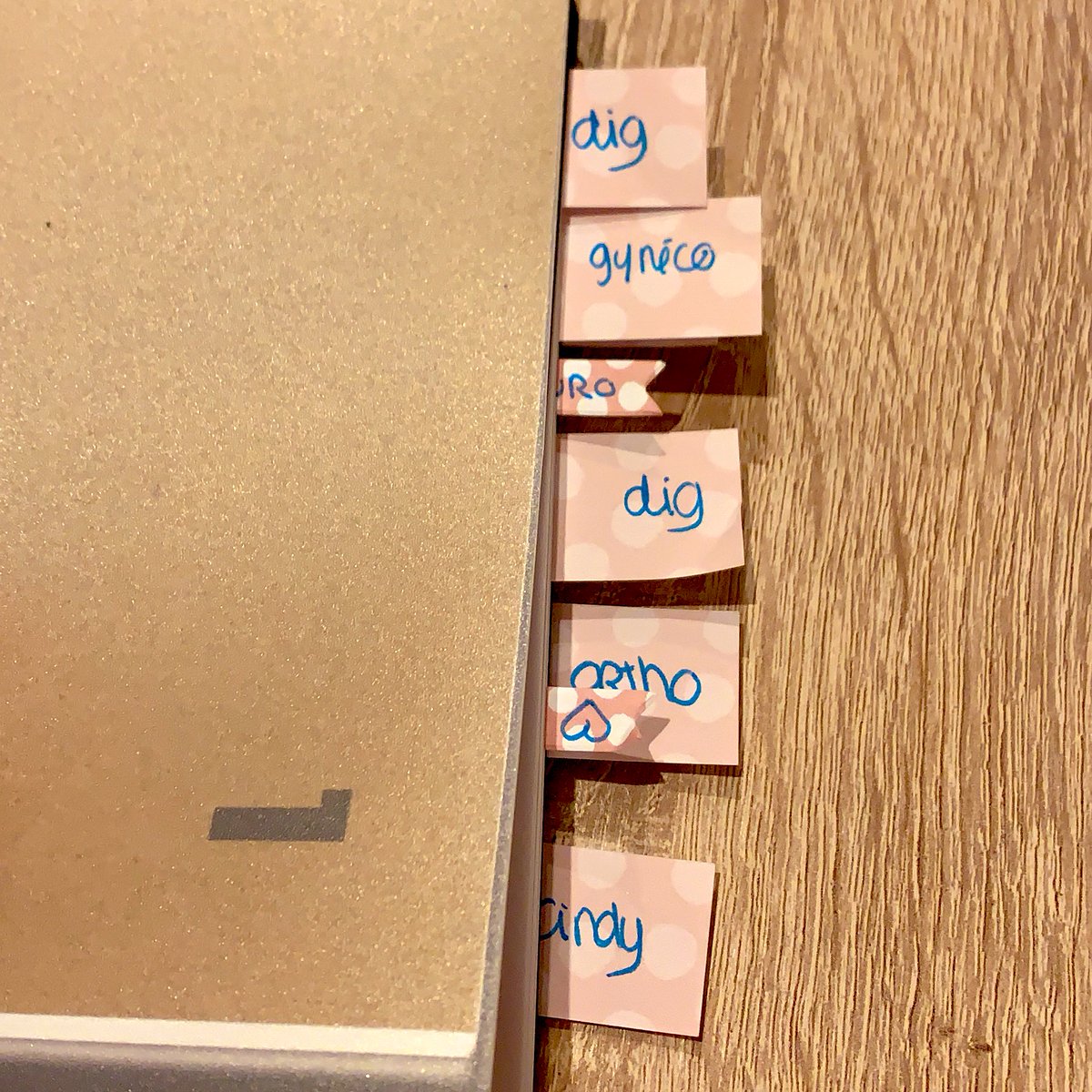 Maellouu_'s tweet photo. J’ai un super cahier de révisions, très bien étiquetés. Si ce qu’il y a dedans pouvait rentrer dans mon gentil cerveau ça serait trop cool 😂 j-3 #eibode #toujourspasprete https://t.co/AXQXfcHrRp