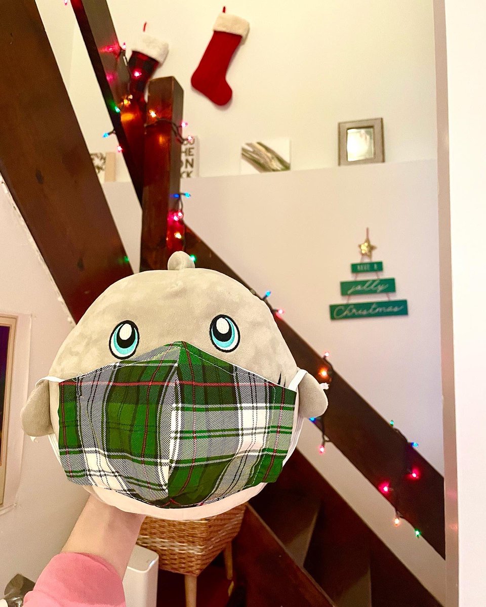 With Love, Francesca 💛🏳️‍🌈 tweet media