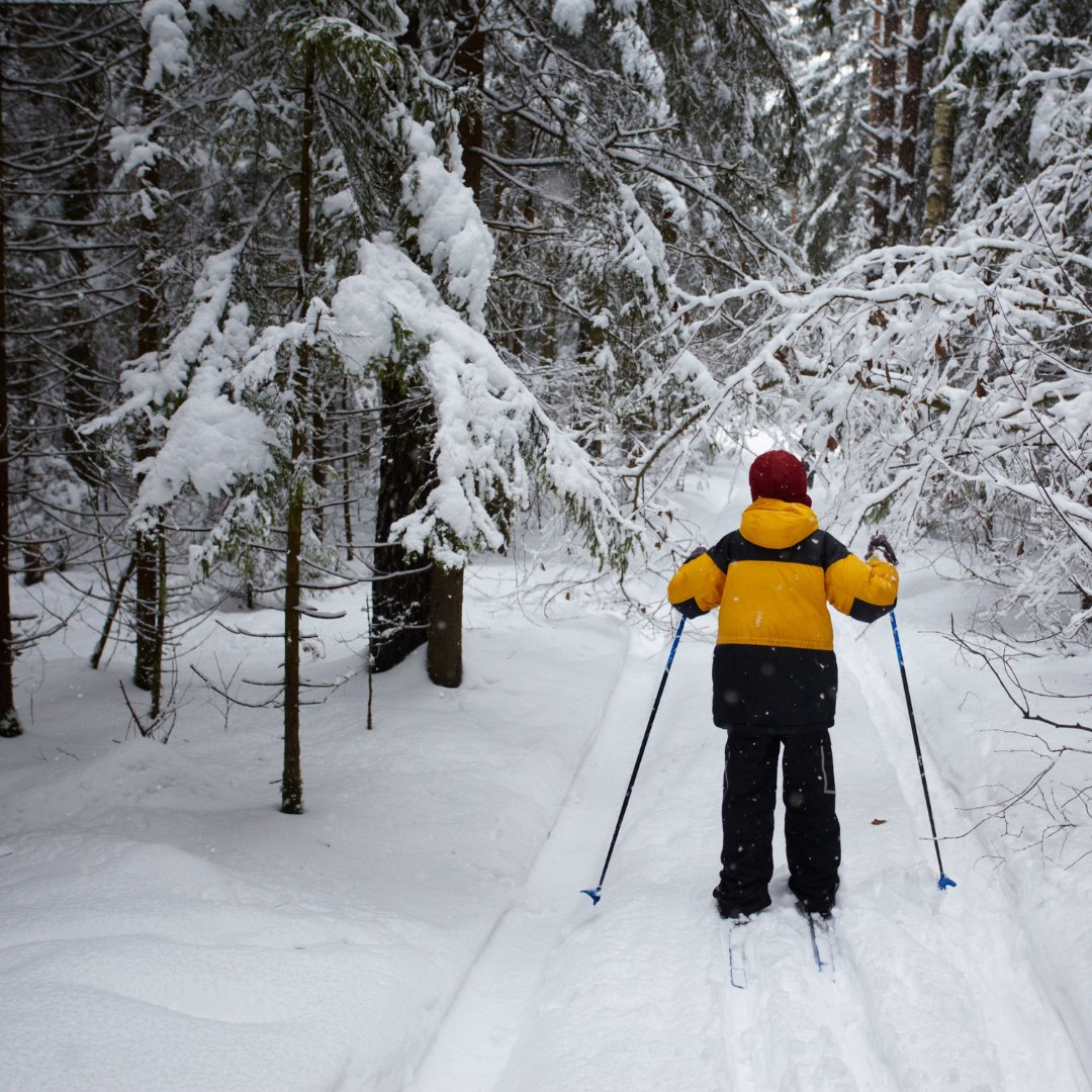 MHLinfo's tweet photo. The Moosehead Lake Region is an absolute treasure to explore from cross-country skis! Be sure to check out the trails at:
🎿 NREC
🎿 Lily Bay State Park
🎿 Appalachian Mountain Club
🎿 The Birches Resort
READ MORE -- > https://t.co/0vIDmNYfx8 https://t.co/8DAyg0jU3X