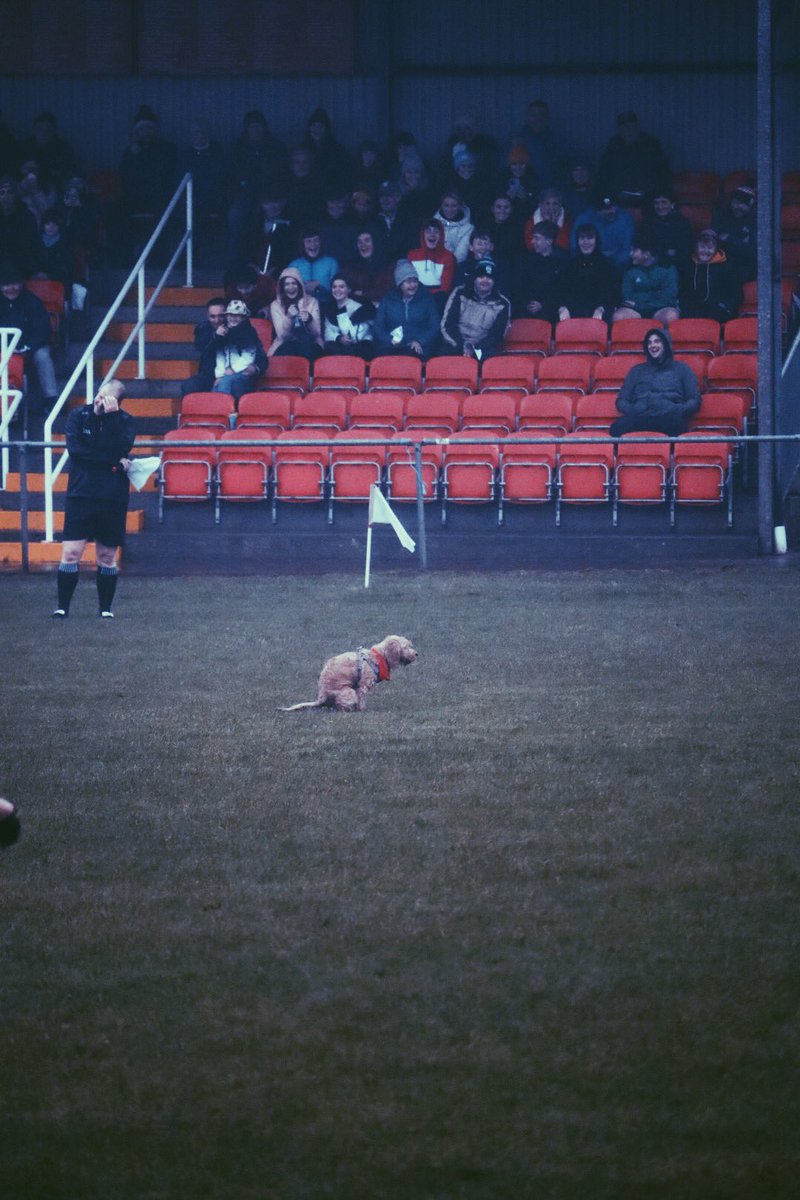 Are you shitting me ref??