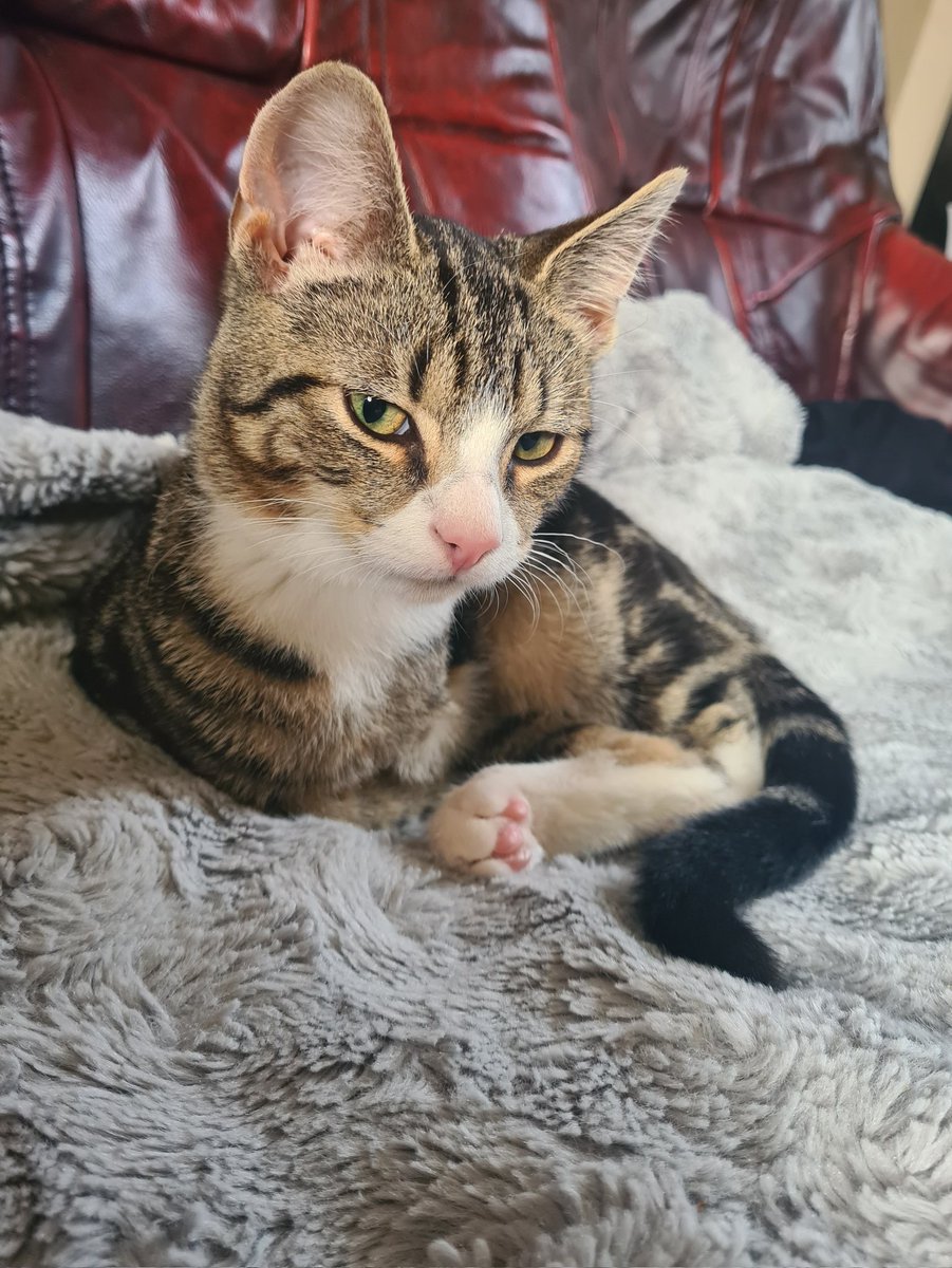 Happy Caturday love Winksy x