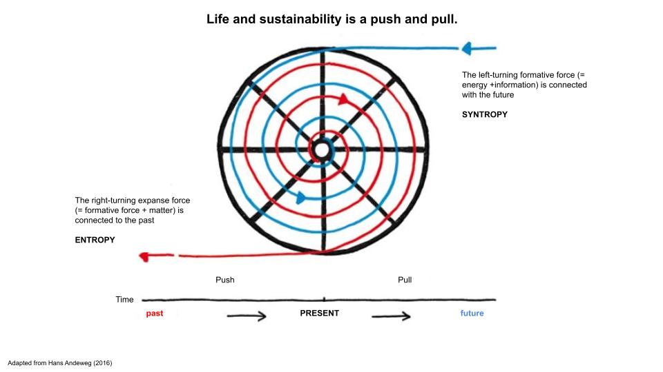 Seems to me All #Life is about the #resonance &amp; see-saw between #syntropy #sustainability and #regeneration with #entropy #unsustainability &amp; #degeneration to #thrive &amp; #flourish in Life. What we need to do, is to align our #intention &amp; #attention