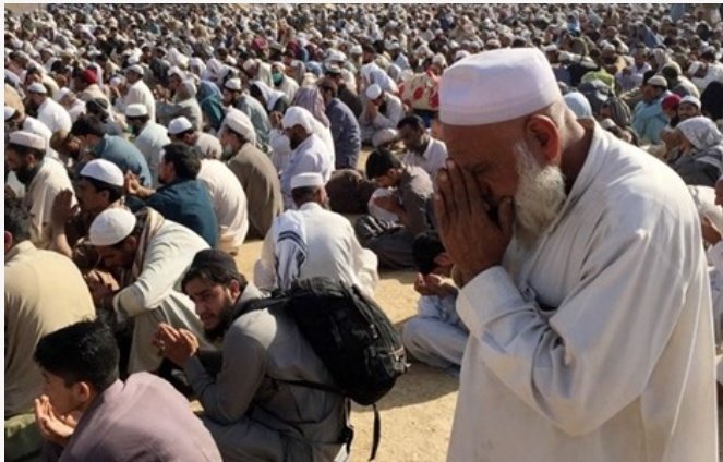 Kaifihaidarqas7's tweet photo. یقول العرب قدیما "عقل الھنود فی الدبر " ولکن مسلم الہند یقول "عقل آل سعود----- تکمیل العبارہ موقوف علی فہم القاری 😊 https://t.co/CsZG7j7kDV