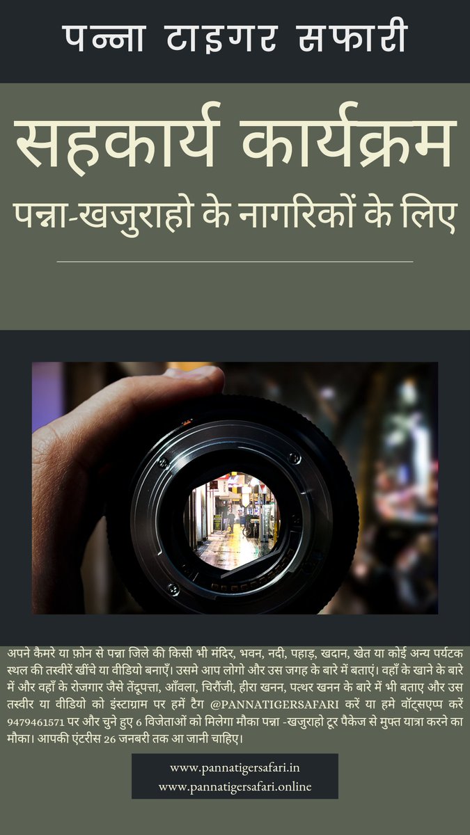 Panna Tiger Safari tweet media