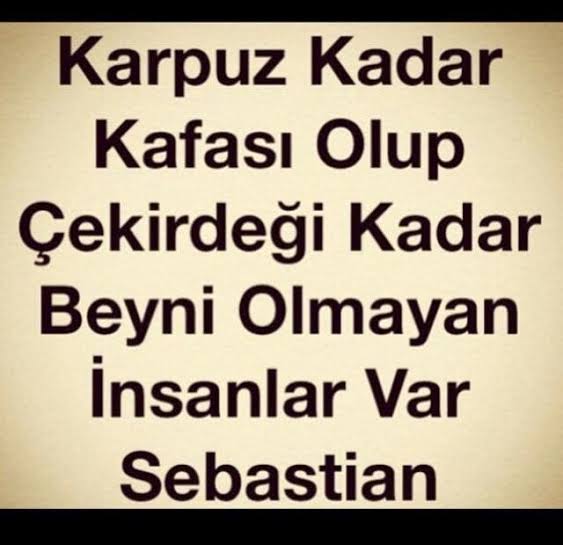 Bu tagı açanlar O beyinle o elindeki telefonu nasıl kullanıyor mucize aq. Allah ömrünüzden alsın sokak hayvanlarına versin. #AtatuerkAtamızDeğil