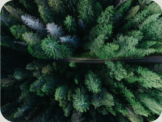 climateoptimis4's tweet image. Climate change educate teaches you how to stay optimist and avoid fear.
visit now:- theclimateoptimist.com

#ClimateAction #climate #ClimateEducation