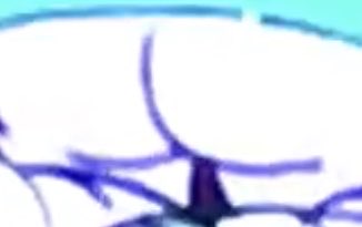 Victia’s HeartButt Ass Booty