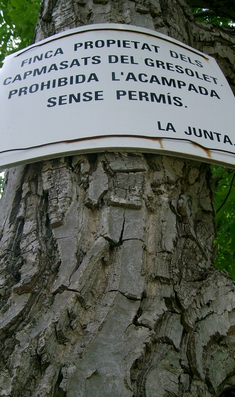 jm_mallarach's tweet photo. 10/10) Sabrem escoltar, honorar, respectar i protegir les muntanyes? Recolzarem a la gent de muntanya en la defensa dels seus territoris i drets davant de l'amenaça de la turistificació massiva, la urbanització o la sobreexplotació?   ▶️https://t.co/BZYosRJcC4 https://t.co/PRnbV8808a